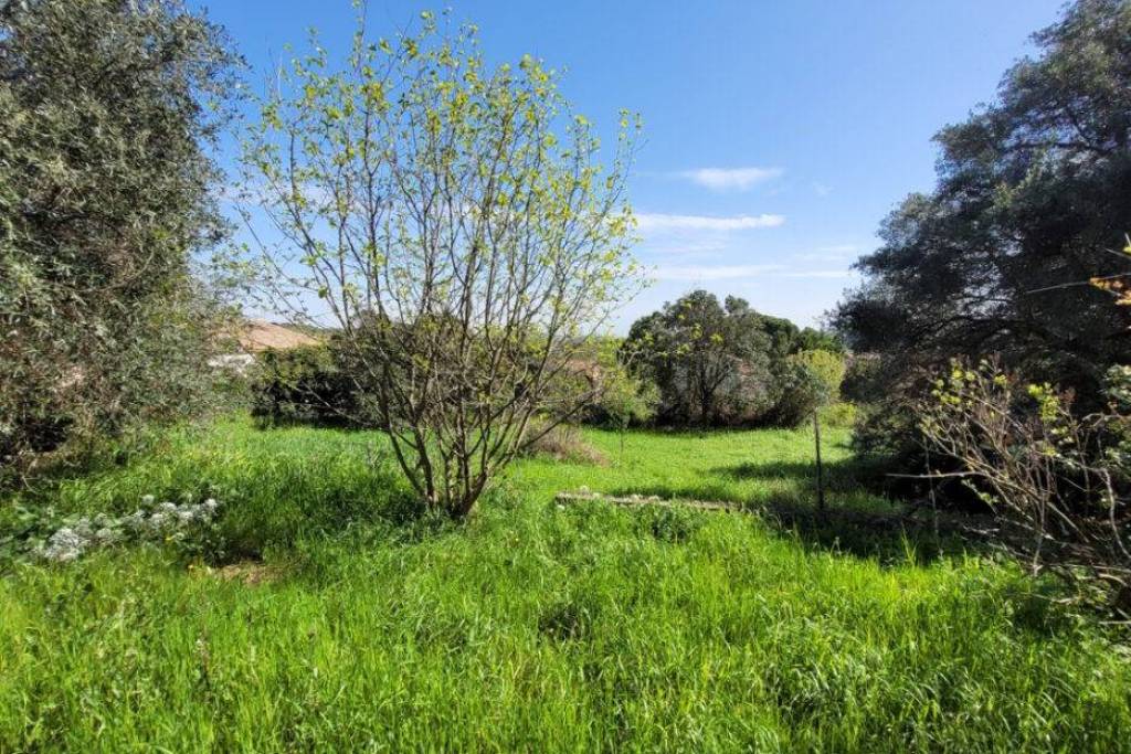 Building Plot Of 1210 M2 In The Heart Of The Village In A Quiet Lane.