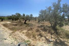 Commercial-Retail for sale in Cite-Commerciale Tunisia