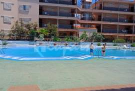Studio Apartment in Summerland Complex For Sale In Los Cristianos LP0684