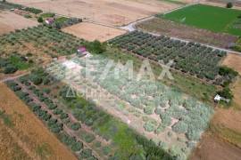 House 72 sq.m for sale