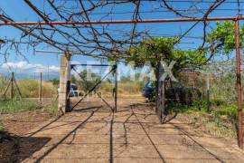House 72 sq.m for sale