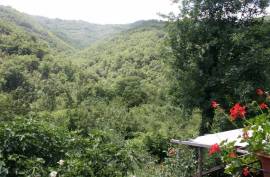 Excellent 4 Bed House & Separate Apartment for Sale In Arezzo Tuscany