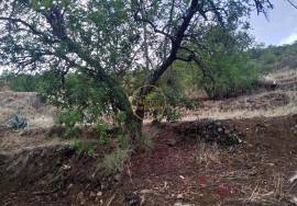 Land in Alte with 2,200 m2 in which a ruin with an area of 110 m2 is inserted.
