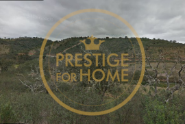 Rustic land with 1700 M2, located a few minutes from the picturesque village of Ameixial
