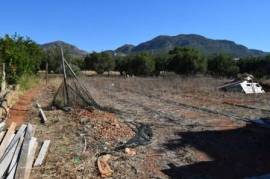 Plot within the village plan in Makrigialos.