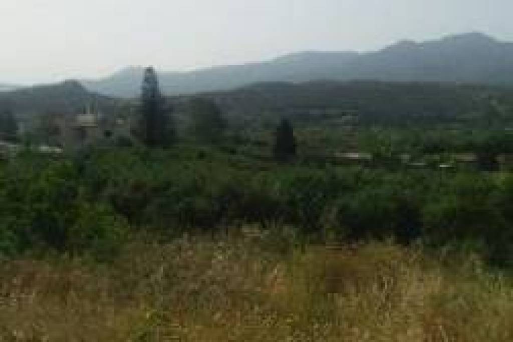 A very ice building plot with olive trees in Sitia.