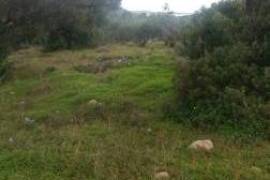 Building plot in Agkathia.