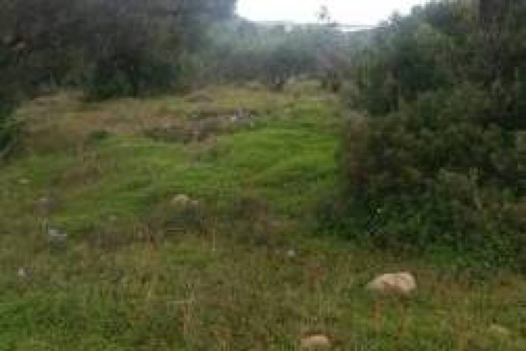 Building plot in Agkathia.