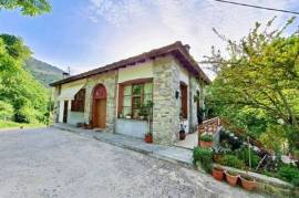 Shop 135 sq.m.