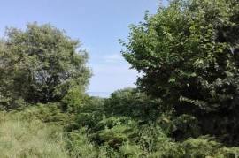 Plot 2000 sq.m.