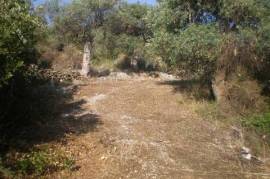 Участок 1086 т.м.