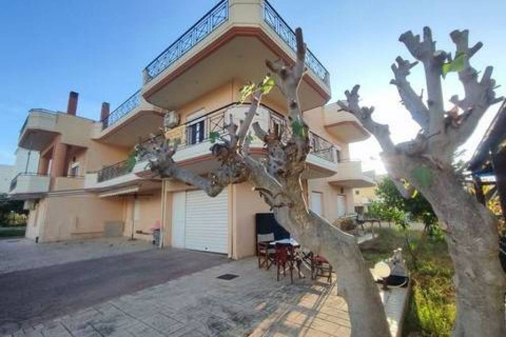 Detached House for sale Nea Selefkeia (Igoumenitsa)