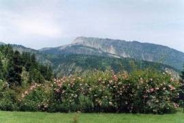 Boutique Hotel for sale in one of the most beautiful mountains of Greece in Meteora