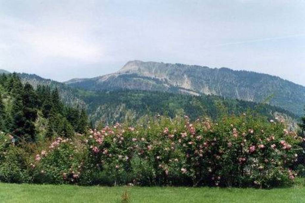 Boutique Hotel for sale in one of the most beautiful mountains of Greece in Meteora