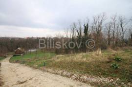 Podsused - Vrapče, Borčec, agricultural land