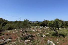 LAND OF 888 m2 - FORTOŠTINA (UGLJAN), UGLJAN ISLAND