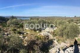 Agricultural land area of 3720 m2 planted with olive trees - Lukoran,bay Prtljug