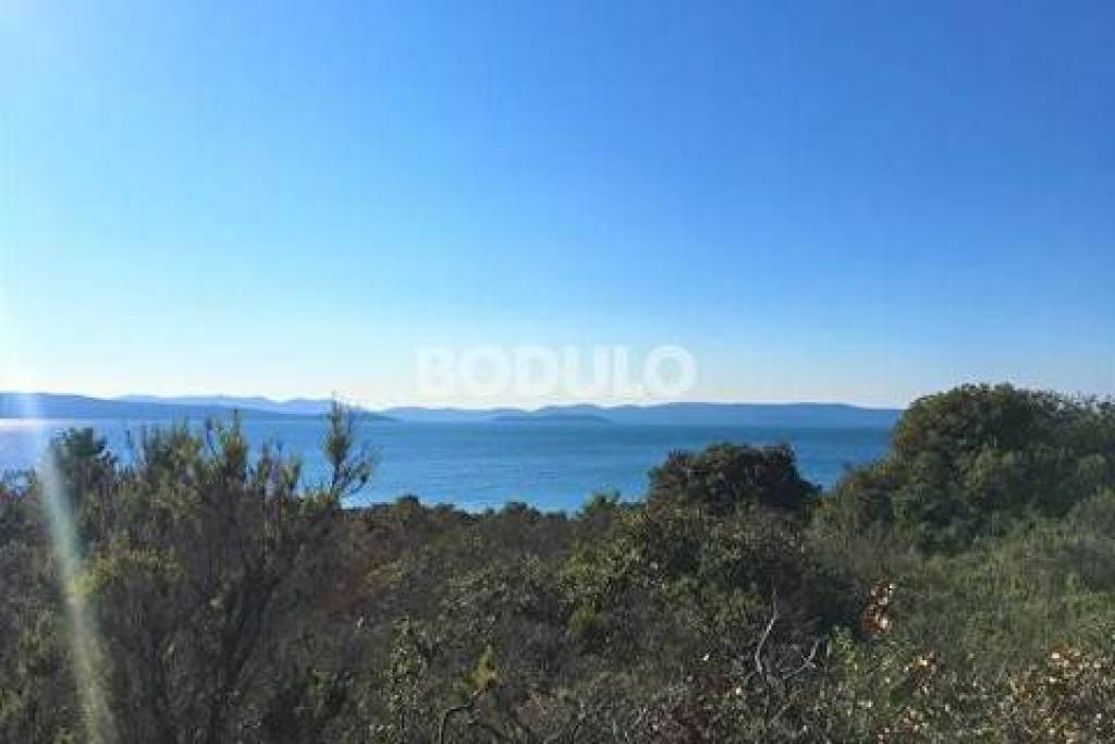 AGRICULTURAL LAND AREA OF 10378 m2 - UGLJAN, ISLAND OF UGLJAN