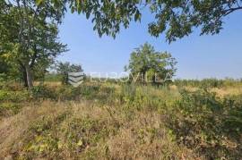 Erdut, Dalj, orchard 29347 m2, view with great potential