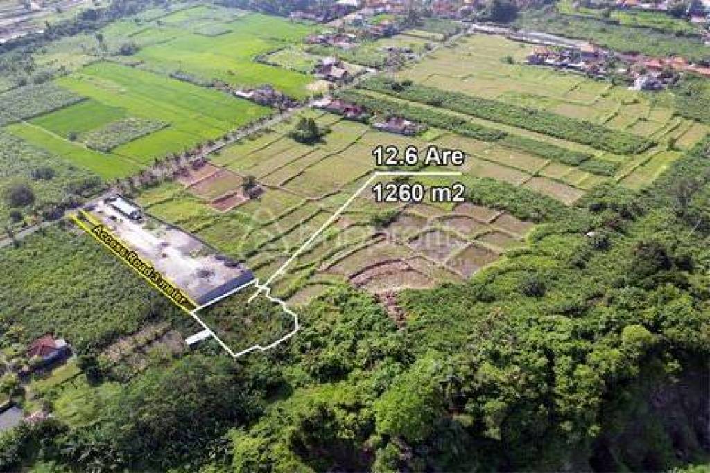 Invest in Paradise: Prime Freehold Land just minutes from Tegenungan Waterfall in Bali’s Gianyar – Kemenuh