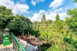 Freehold 8,100 sqm Land with Complimentary 1,000 sqm Building in Tegalalang