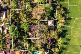 Extraordinary Property in The Heart of Ubud