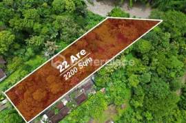 Prime 22 Are Land for Lease in Buwit – Tabanan with Stunning Jungle and River Views