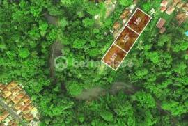 Prime Leasehold Land in Buwit, Tabanan: 500 sqm with Stunning Natural Views