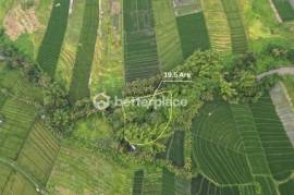 Prime 19,5 Are Freehold Land in Kedungu – A Growing Investment Opportunity