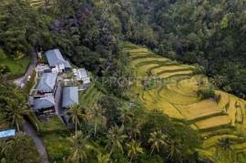 Luxury Boutique Resort & Spa in Ubud