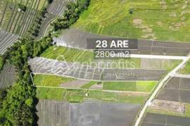 Land of Dreams: Exclusive Leasehold Opportunity in Kedungu – Craft Your Bali Oasis!