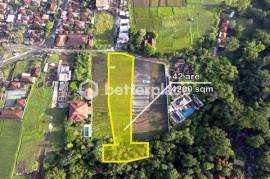 Exclusive Leasehold 4200 sqm Land in Buwit, Tabanan – Perfect for Luxury Villas or Boutique Development
