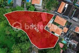Prime 20-Are Land in Padonan, Canggu – Ideal for Investment