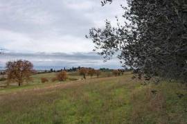 CDL1774 - Terreno edificabile di 5500 mq con vista sul Lago Trasimeno