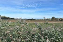 CDP1772- Terreno agricolo pianeggiante irriguo di 8,5 ettari con quote PAC