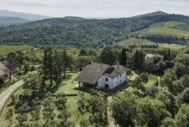 Villa Natalie surrounded by Tuscan nature