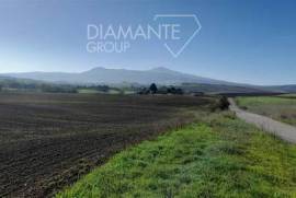SI1792 - Land of 27 hectares arable and olive grove