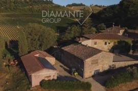 AZ349 - Organic wine farm with 34 hectares of land, winery and oil mill