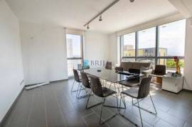 Bright office with terrace