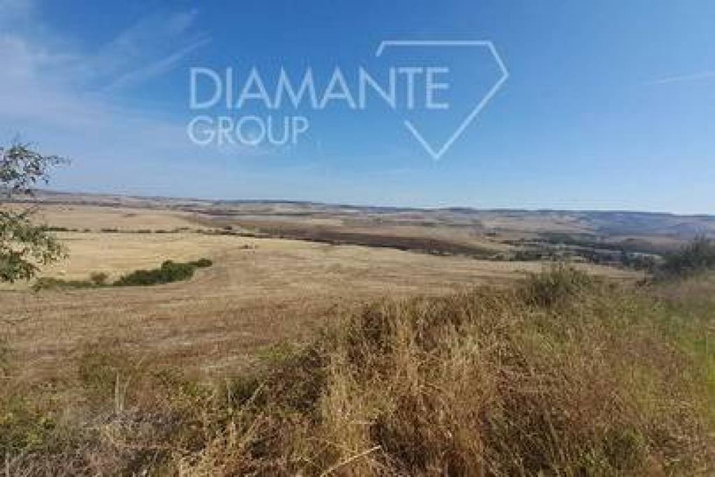 SI1801 - Arable farmland on gentle hills, all in a single plot