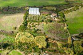 Villa con tenuta Agricola, serre e oliveto zona Alghero