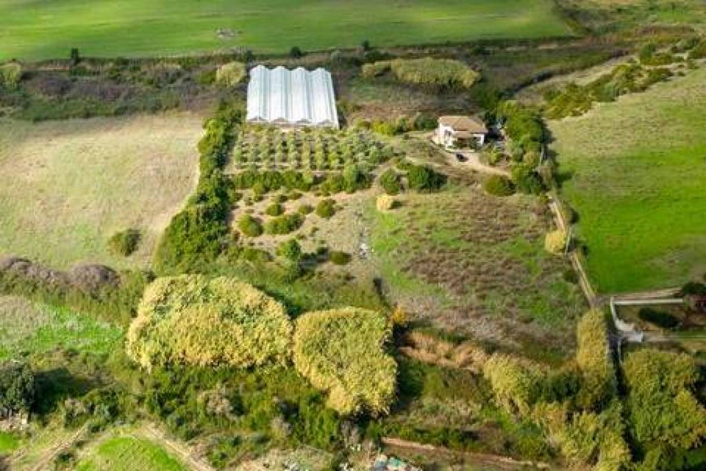 Villa con tenuta Agricola, serre e oliveto zona Alghero