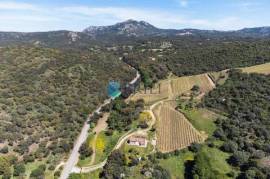 Prestigious Farm with Vineyard and Cork Oaks