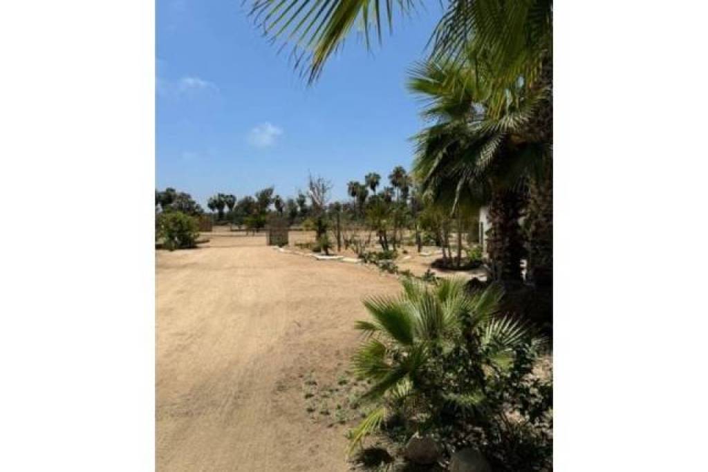 Commercial-Retail for sale in Todo-Santos Mexico