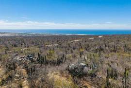 Pacific Parcel, Cabo San Lucas,