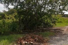 Land-Plot for sale in San Blas Mexico
