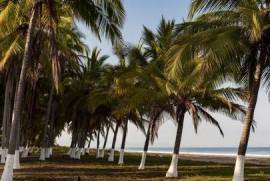 Land-Plot for sale in Playa Las Tortugas Mexico