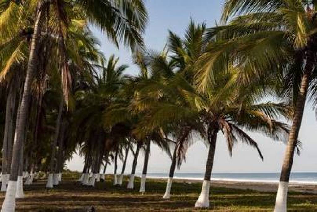 Land-Plot for sale in Playa Las Tortugas Mexico