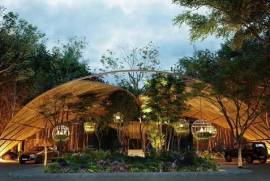 Land - Quintana Roo - For Sale - PLA6410667