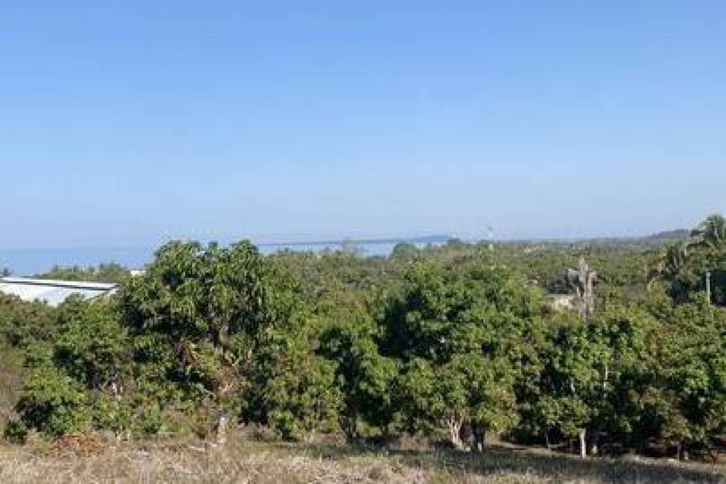 Land-Plot for sale in Bay-of-Matanchen Mexico